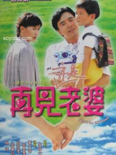 再见亦是老婆海报