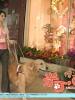 米可GO!的图片